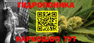 крисы Дубна
