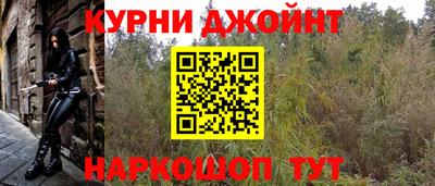 крисы Дубна