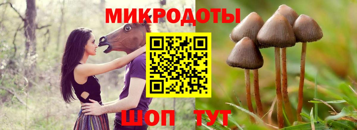 Псилоцибиновые грибы мухоморы  как найти закладки  Вход с VPN  Нижнеудинск  Галлюциногенные грибы Psilocybe 