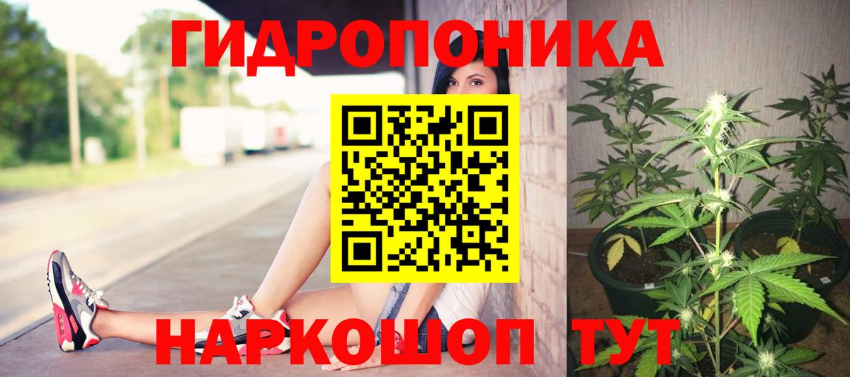 Бошки Шишки THC 21%  Вход с VPN  МАРИХУАНА OG Kush  Нижнеудинск 